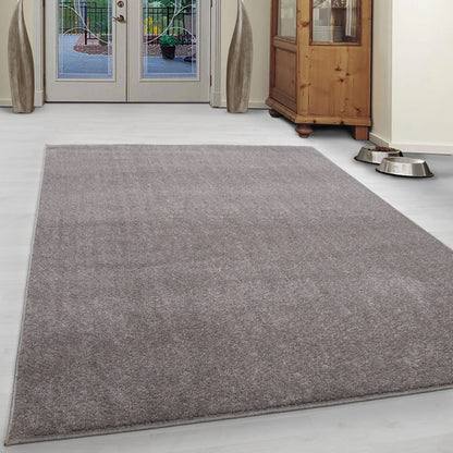 Ata Vloerkleed – Beige – Laagpolig met Vilt Onderkant