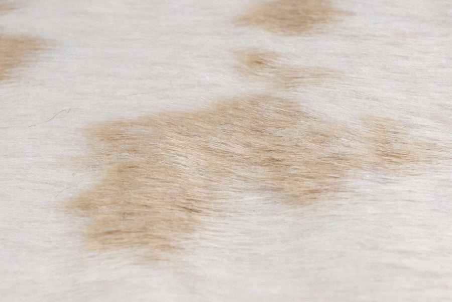 Rodeo koeienhuid vloerkleed – licht beige gevlekt