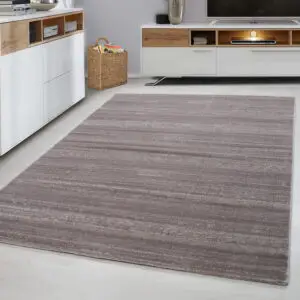 Plus Vloerkleed – Beige – Laagpolig & Gemêleerd Uni Design