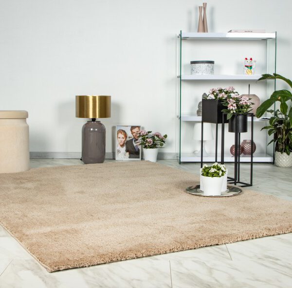 Hoogpolig vloerkleed Dream – Champagne, verfijnd met zachte glans